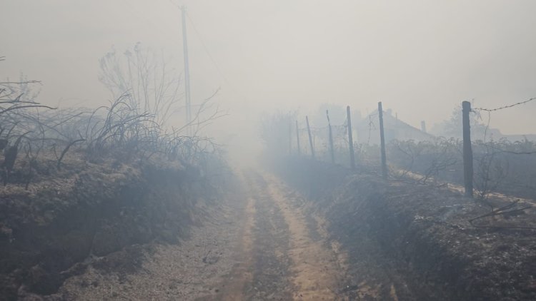 20 de gospodării şi trei case dezafectate, arse în incendiul de la Dunăreni; focul a cuprins 450 hectare de mirişte