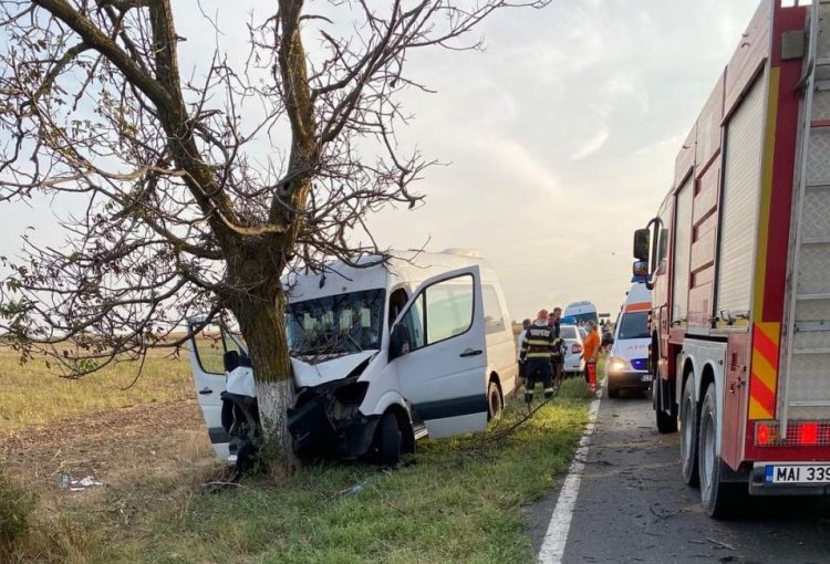 Un microbuz a intrat în copac, la ieşire din Murfatlar. Două minore au ajuns la spital